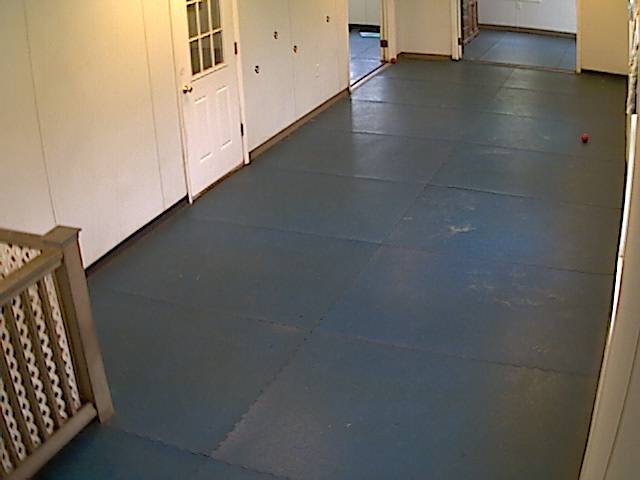 Limestone Veterinary Hospital-Hall Cam