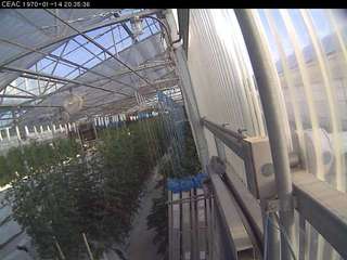 University of Arizona - Controlled Environment Agriculture Center