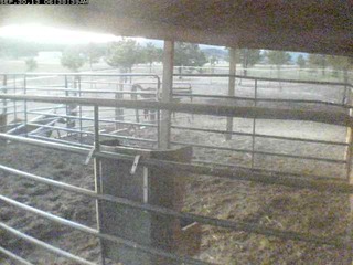Webcam in Colorado Springs,United States