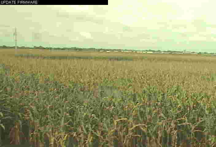University of Illinois - Crop Cam
