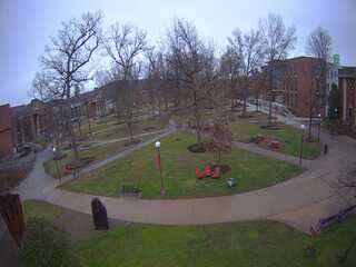 Indiana University of Pennsylvania - Grove Cam