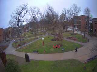 Indiana University of Pennsylvania - Grove Cam