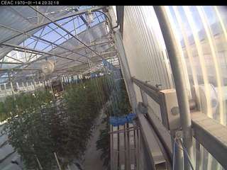 University of Arizona - Controlled Environment Agriculture Center