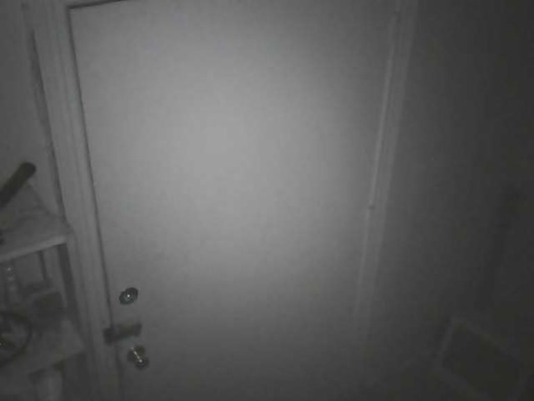 Door Security Cam