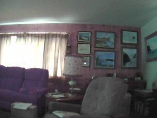 Living Room Cam