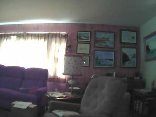 Living Room Cam