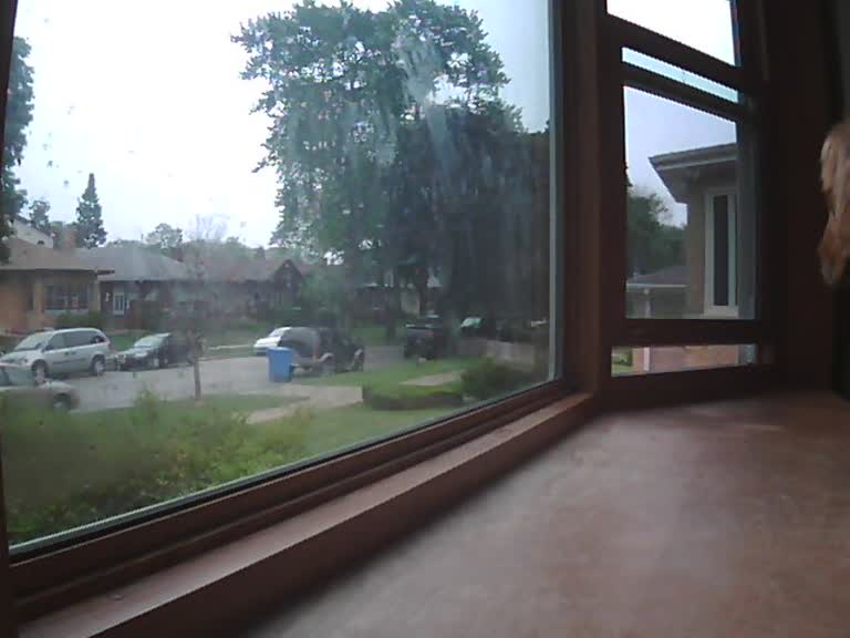 Window & Driveway Cam