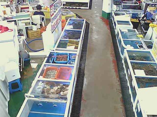 Live Fish Market