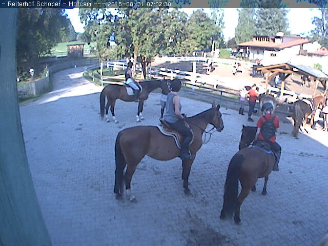 Reiterhof Schober Hotel & Equestrian Centre