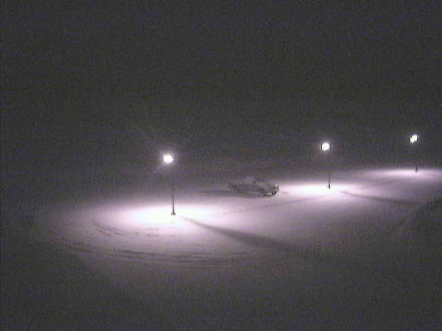 Webcam in Ludington,United States