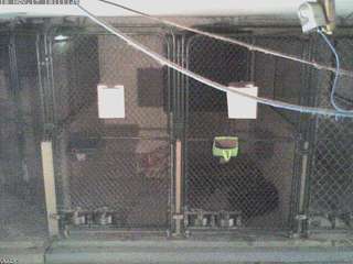 Wellsboro Veterinary Hospital