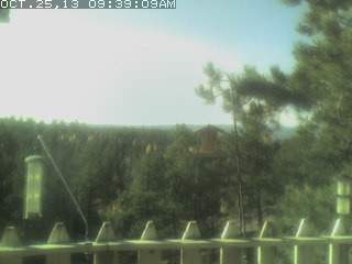 Bird Feeder Cam