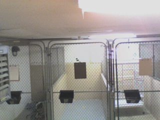 Wellsboro Veterinary Hospital