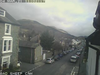 'Bad Sheep Cam' Blencathra Street