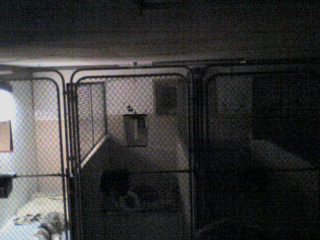 Wellsboro Veterinary Hospital 