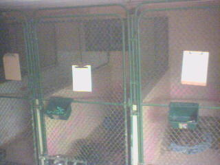 Wellsboro Veterinary Hospital 