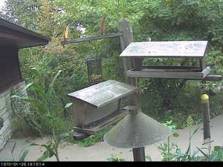 Bird Feeder Cam