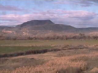 Farm Cam