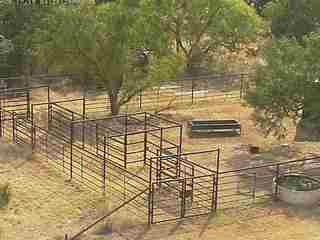 The Flying MMM Ranch