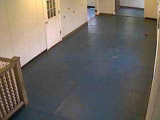 Limestone Veterinary Hospital-Hall Cam