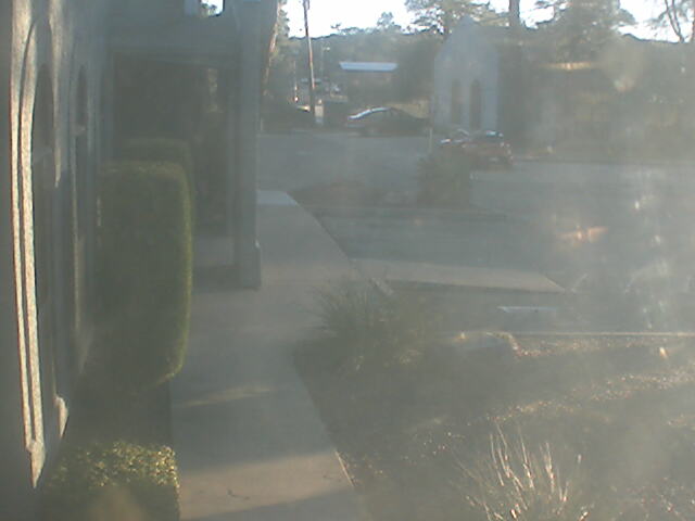 Driveway Cam