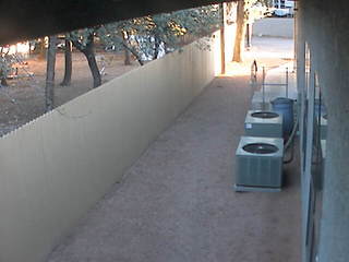 Alley Cam
