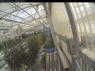 University of Arizona - Controlled Environment Agriculture Center