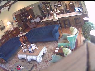 Lemony Canary's Living Room Cam