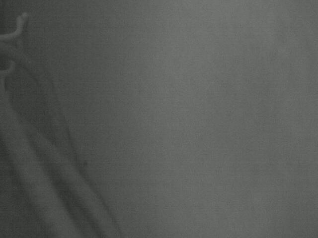 Webcam in Tacoma,United States