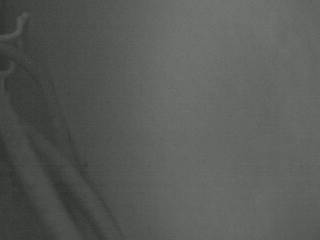 Untitled camera