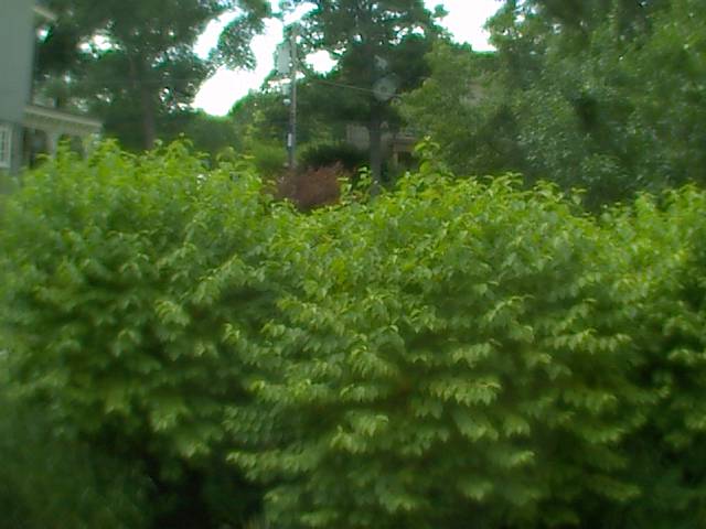 Webcam in Philadelphia,United States