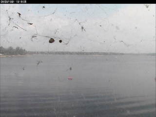 Lake Arbutus