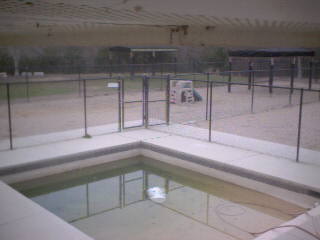 Dog Daycare