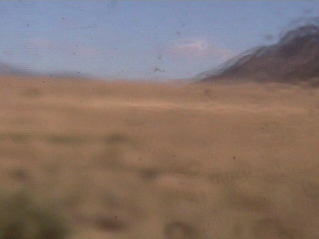 University of New Mexico - Prairie Dog Cam