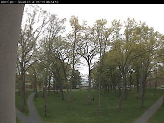 Amherst College Main Quadrangle