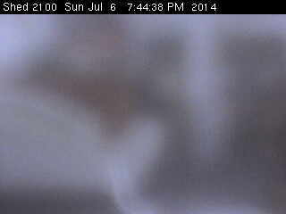 Shed Cam
