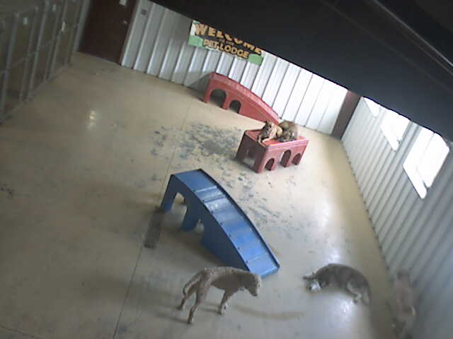 Pet Lodge