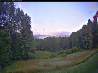 'Woodchuck Central' on Murray Hill Dr
