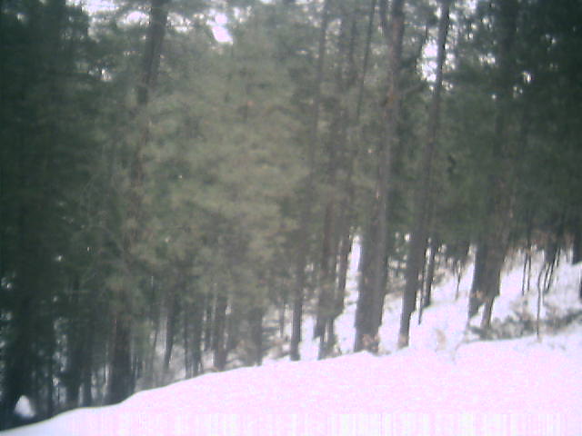 Webcam in Chimayo,United States