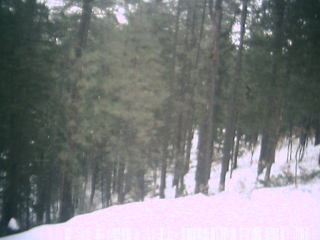 Untitled camera