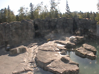 The Alaska Zoo - Polar Bear Cam
