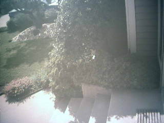 Porch Cam