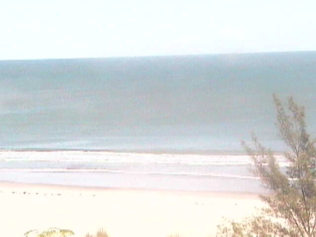 Webcam in Orlando,United States