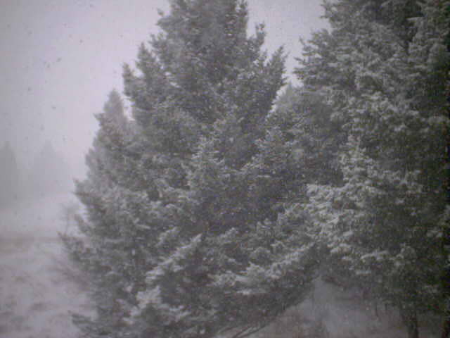 Webcam in Superior,United States