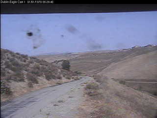 Dublin Eagle Cam