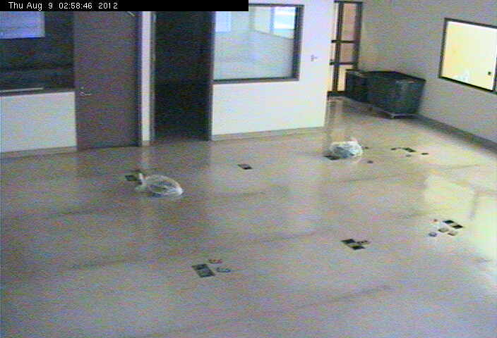Webcam in Wichita,United States