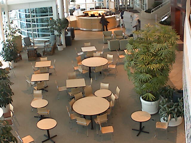 GVSU - CHS Indoor Plaza