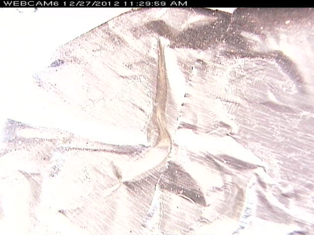 Webcam in Miami,United States