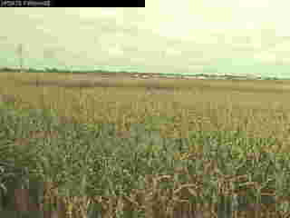 University of Illinois - Crop Cam