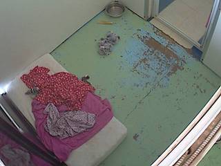 "Lap of Luxury" Pet Resort
